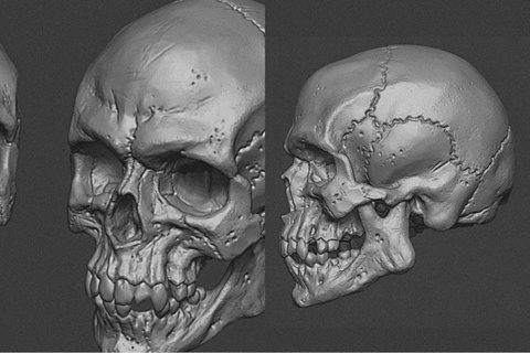 detailed skull 3d human jaw bone anatomy head character teeth damaged styled tooth vampire 3d print model - Mito3D