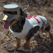 deus vult dog costume fashion helmet sword crusader animal halloween dagger mini Dog 3d print model - Mito3D