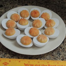 pericos de huevo art broma la comida 3d print model - Mito3D