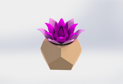 Diamant Pflanzer Zuhause Haus Kaktus saftig Pflanzen Garten Blume Vase 3d print model - Mito3D