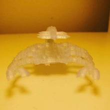 diamond scorpion verschiedene Insekt 3d print model - Mito3D