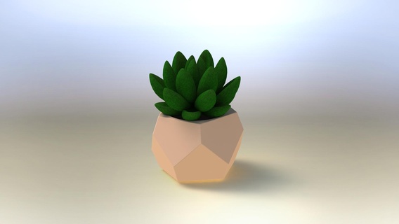 elmas sulu ekici ev kaktüs bitkiler Bahçe çiçek vazo 3d print model - Mito3D