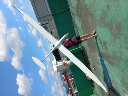 diana-3 scale sailplane wingspan 4m thermal soarer glider radio control airplane 3d print model - Mito3D