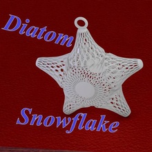diatom snowflake home while ornament gift jewelry necklace christmas tree xmas ball 3d print model - Mito3D