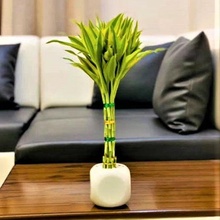 dado fioriera vaso fiori albero fiore appendiabiti arredamento 3d print model - Mito3D