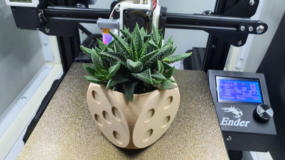 dice pot plant desk 3d print model - Mito3D