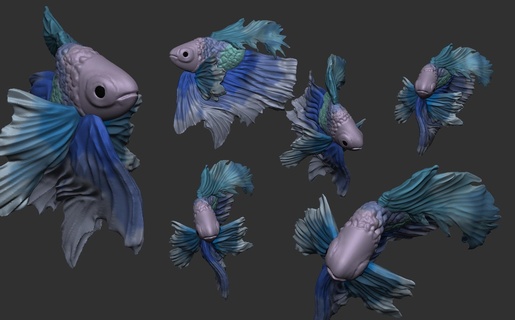 digital beta pez escultura zbrush acuático animal aletas colores 3d print model - Mito3D