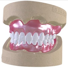 yapıştırıcı-diş kombine dijital tam protez kemer çeşitli gülümseme keyshot 3shape cnc 3d yazıcı tıbbi cad diş 3d print model - Mito3D