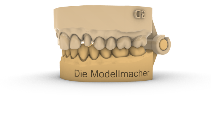 digitale non sezionato modello morire modellmacher attaccamento exocad 3d cad 3shape stampa scansione poli alto piega obj stl cnc dentale articolatore 3d print model - Mito3D