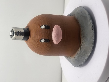 diglett bic lighter case buddy pokemon cute 420 smoking figure 3d print model - Mito3D
