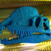 dilophosaurus-Plakette Spiel amnh Dinosaurier Tiere 3d print model - Mito3D