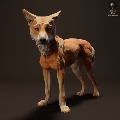 dingo animal compañero perro salvaje fauna silvestre criatura realista escultura figurilla figura miniatura pradera desierto 3d print model - Mito3D