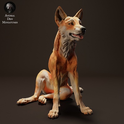 dingo sentado animal companheiro cão selvagem animais selvagens criatura realista escultura estatueta figura miniatura pastagem deserto 3d print model - Mito3D