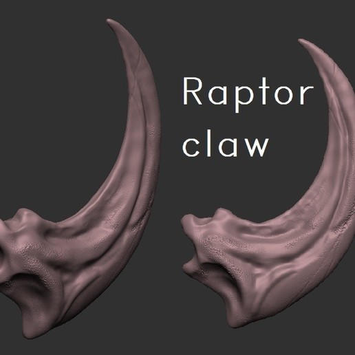 dinosaur - raptor claw various dakotaraptor utahraptor skeleton fang skull atack killing world dromaeosaurid blue park jurassic fossil art paleontology velociraptor garra de 3D print model - Mito3D