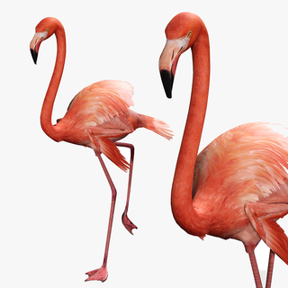 dinosaur 3d flamingo model animated Art download volans flamingo-flying 3d-model flying creatures flamieptile-3d flamingo-dinosaur animal monster demon bird 3d print model - Mito3D