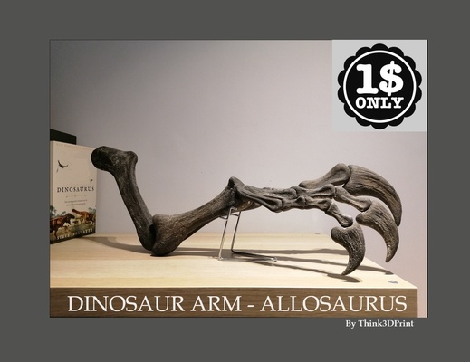 dinozor kol allosaurus kemik pençe fosil paleontoloji 3d yazdır 3d print model - Mito3D