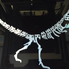 les os de dinosaures collier bijoux 3d print model - Mito3D