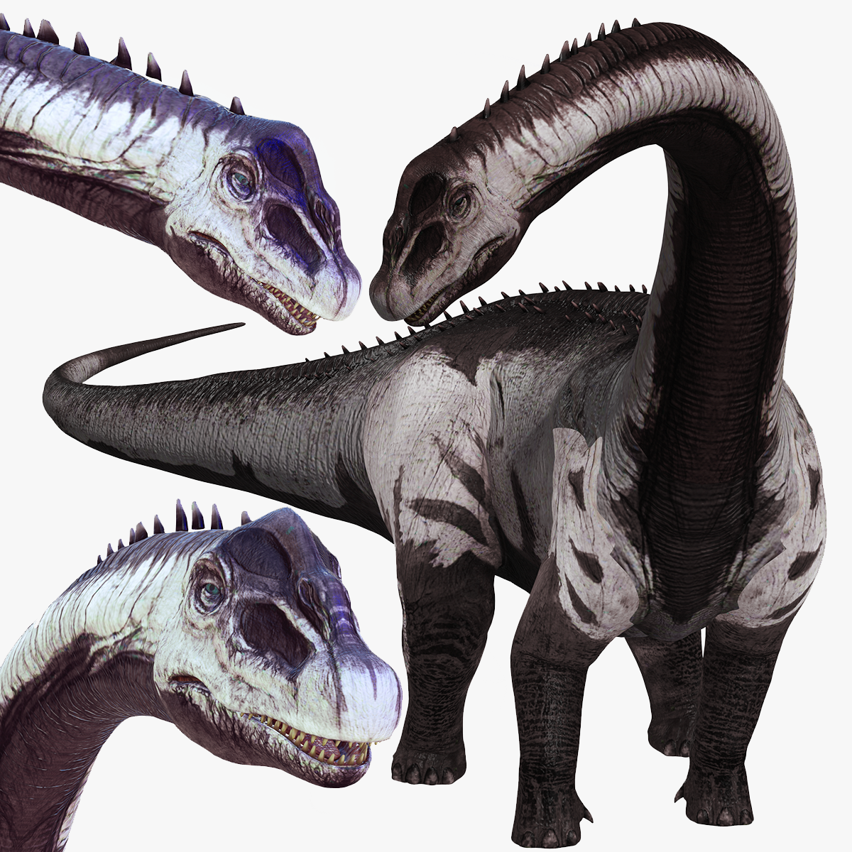 Dinozor Sauropod 3d model blender 3ds max sinema 4d fbx Maya birlik gerçek dışı obj animasyonlu hayvanlar yaratıklar insanlar doğa gerçekçi dinozorlar ri dinozor ayaklı Raptor yırtıcı dev Jurassic 3D print model - Mito3D