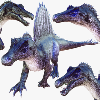 dinosauro spino 3d modello raptor animato miscelatore 3ds max cinema 4d fbx maya unità irreale obj animali creature natura realistico dinosauri ri bipede predatore gigante giurassico 3d print model - Mito3D