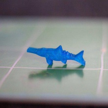 dinosaur island meeples ichthyosaurus jogo jogos de tabuleiro boardgames 3d print model - Mito3D