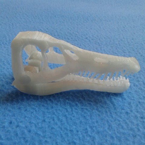 dinosaur skull various skeleton 3D print model - Mito3D