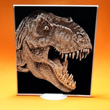 3d dinozor çeşitli sinema drawing3d dinozorlar çerçeve tutucu jurassic park film resim rahatlama destek t-rex dünya 3d print model - Mito3D