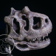 dinosaures crânes art crâne dinosaure animal 3d print model - Mito3D