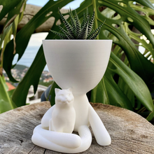 discorde chat Robert navire planteur pot amoureux vase diacorde 3d print model - Mito3D