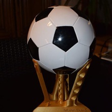 displaystand 20cm palla casa la scultura sport fussball calcio titolare ballholder il trofeo soccerball di display stand ballstand 3d print model - Mito3D