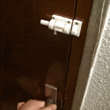 diver - sliding lock gadget subject useful cupboard diy latch house door security targette 3d print model - Mito3D