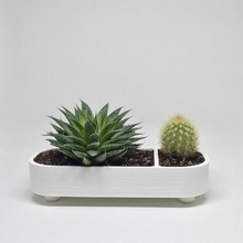 divided succulent planter home cacti cactus plants garden organizer desk window tabletop flower vase 3d print model - Mito3D