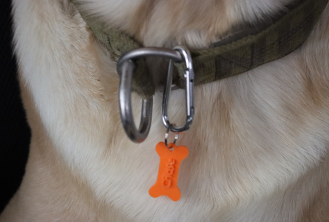 diy dog nametag animal 3d printed fashion keychain chain key 3d print model - Mito3D