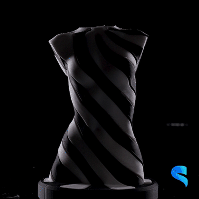 schwindlig dame spiel zappeln twist rotieren strudel spaß unmöglich spielzeug skulptur körper 3d print model - Mito3D