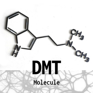 dmt molécule mur art dimethyltryptamine psychodéliques drogues 3d print model - Mito3D
