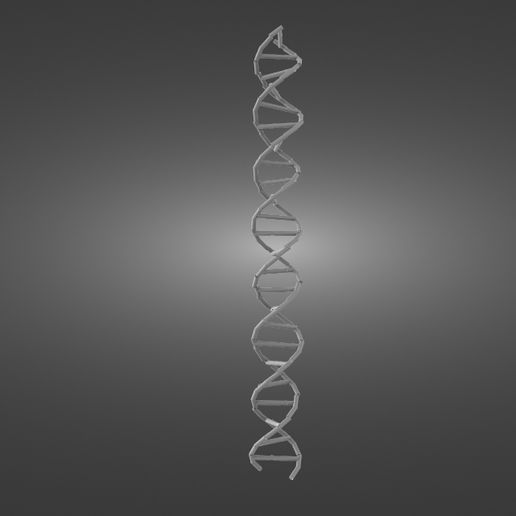 DNA 3D print model - Mito3D