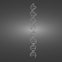 DNA 3d print model - Mito3D