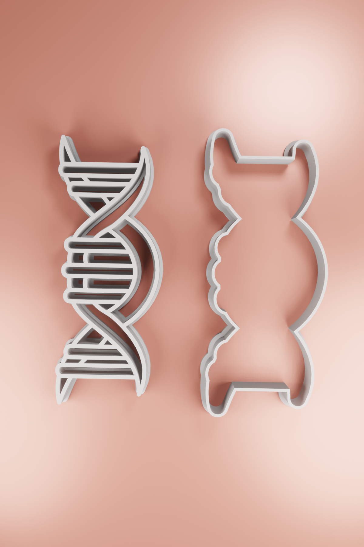 dna - cookie cutter stamp item kitchen human body 3D print model - Mito3D