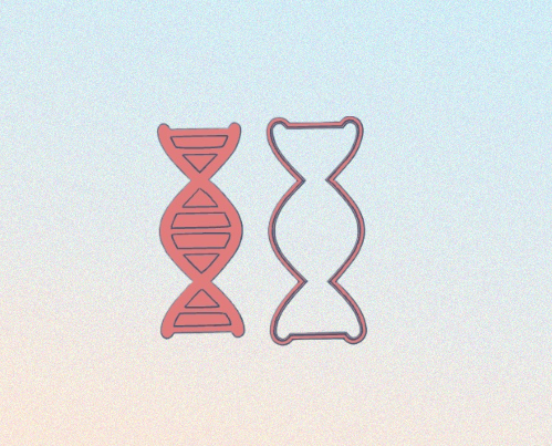 DNA kromozom pul kesiciler kurabiye 3D print model - Mito3D
