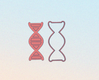 DNA kromozom pul kesiciler kurabiye 3d print model - Mito3D