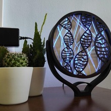 DNA diariamente ornament night luz casa enfeite decoração arte biologia estrutura Projeto 3d print model - Mito3D