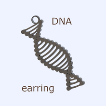 dna earrings jewelry earring biology math study valentine valentines day 3d print model - Mito3D