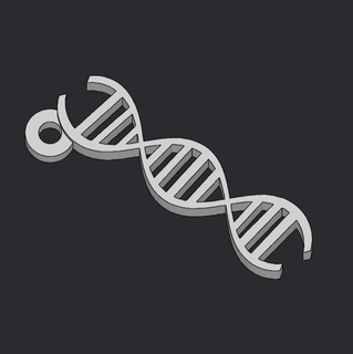 DNA anahtarlık 3d print model - Mito3D