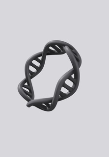 DNA anel joalheria 3d print model - Mito3D