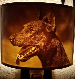 Doberman gece ışık taş ocağı köpek kürk Led sadık Mans iyi arkadaş doğa yavrusu 2d Sanat 3d print model - Mito3D