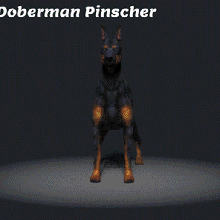 doberman pinscher chien race canin 3d impression modèle animal compagnie 3d print model - Mito3D