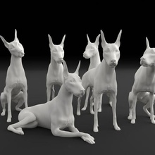 doberman pinscher collection art dog animal doberman pinscher mammal canine pet miniature figure sculpture statue printable miniatures figurines sitting
