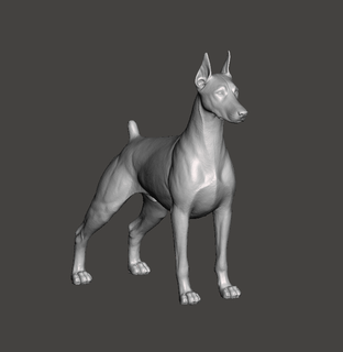 doberman pinscher cão dobermanpinscher cachorro estimação canino escultura 3d print model - Mito3D