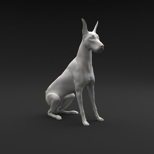 caballero pinscher sentado Arte perro animal mamífero canino mascota miniatura figura escultura estatua miniaturas figuritas sentar 3D print model - Mito3D