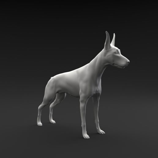 doberman pinscher in piedi femmina maschio arte cane animale mammifero canino domestico miniatura figura scultura miniature figurine 3D print model - Mito3D