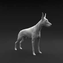 doberman pinscher standing female male art dog animal mammal canine pet miniature figure sculpture miniatures figurines 3d print model - Mito3D